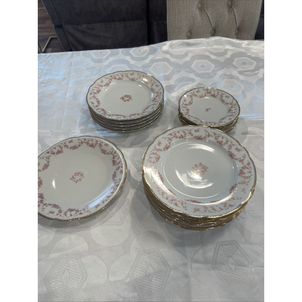 Bridal Rose Vintage Original Lot of 18 Bavaria Schumann Plates Western Germany